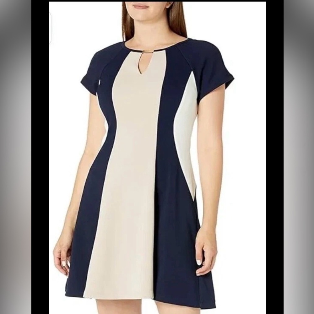 Sandra Darren Black & Cream Colorblock Mesh Sides Fit & Flare Dress